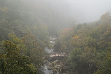 雲霧山風景區裡的四季變幻與生態保護